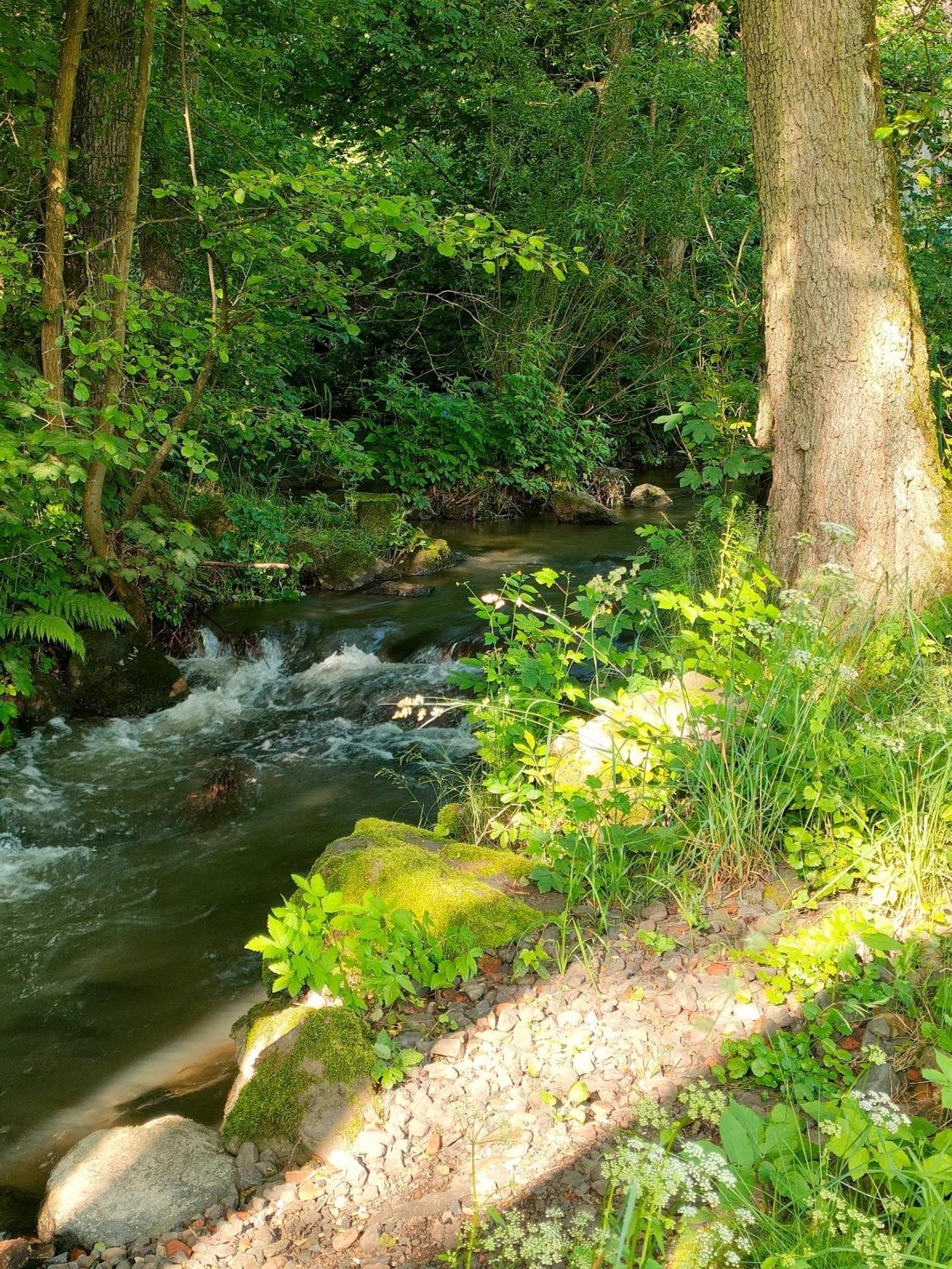 Wind In Den Weiden, Uebernachten Am Bachlauf Birstein Esterno foto